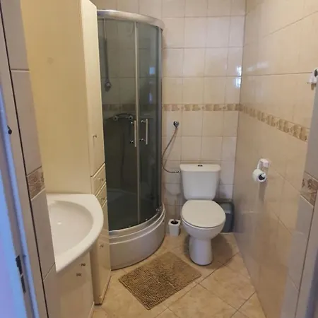 Pod Sosnami - Ul Dominicka 28 Apartment *